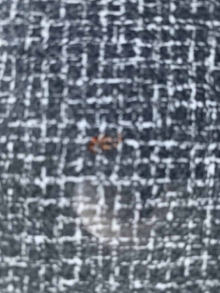 Een klein roodbruin insect ligt op een getextureerd zwart-wit stoffen oppervlak met een rasterpatroon. De afbeelding is enigszins onscherp, waardoor details van het insect onduidelijk zijn.