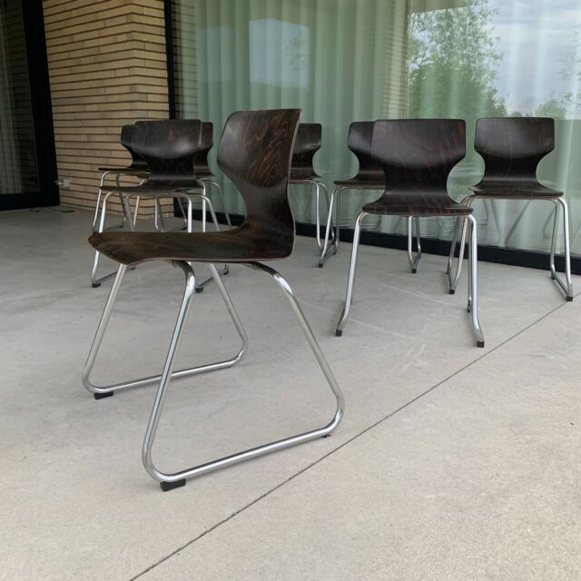Pagwood chairs by Adam Stegner for Flötotto
Set of 8 pagwood tubular chairs with chrome base.
37.5 cm wide, 43 cm deep and 77 cm high. Seat height 46 cm. 
Light, stackable, functional and elegant German design of the 1960s
🟢 For sale
#vintage #retro #vintagefurniture #60s #midcentury #industrial #design #desigerclassic #pagwood #adamstegner #Pagholz #flotto #adamstegnerflototto #GermanDesign #tubularchair #chair #chaise #stackable #stoel #iconicdesign #vintagedesign #midcentury #decoration #interior #decor #homedecor #interiordesign #interiorstyling #vintageinteriorstyling #sustainabledesign